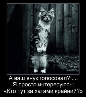 Прикрепленное изображение: 0qOjofXcWGM.jpg